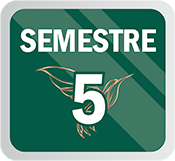 S5BG