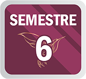 S6BG