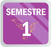 S1CONA