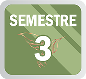 S3CONA