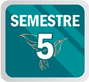 S5CONA